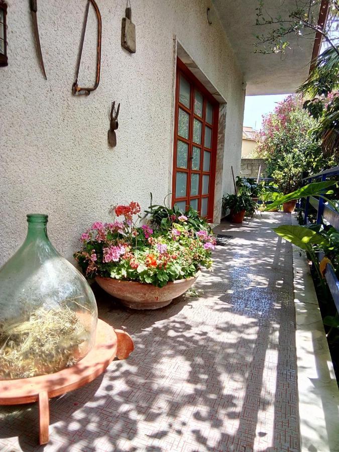 Villa Ada سارّوتش المظهر الخارجي الصورة